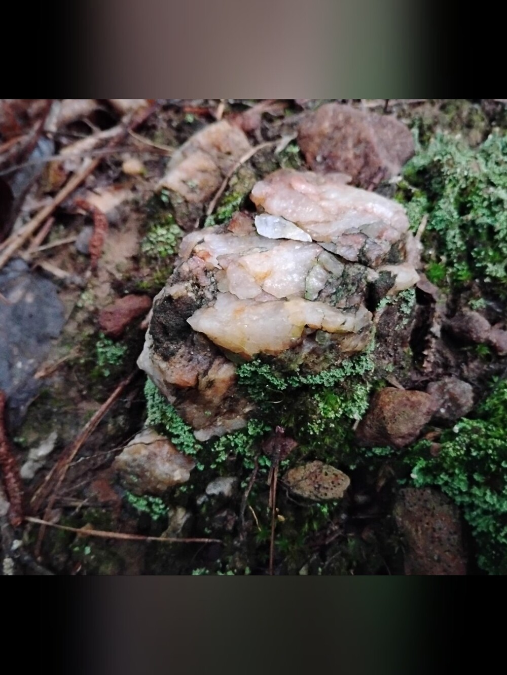 Raw Appalachian Quartz - Picture 7 of 7